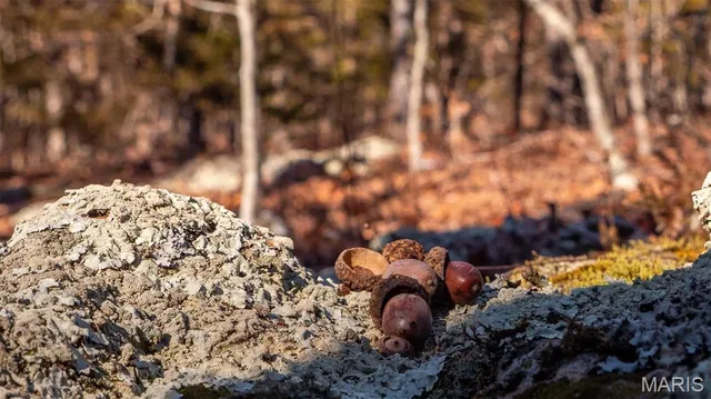 $345,000 | 2103 Vly Crk Drive, Owensville, MO 65066