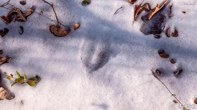 $710,000 | 2103 Vly Crk Drive, Owensville, MO 65066