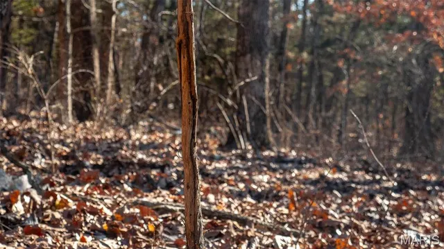 $710,000 | 2103 Vly Crk Drive, Owensville, MO 65066