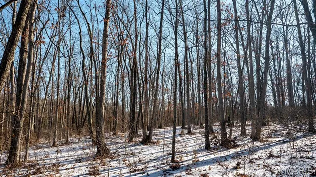 $710,000 | 2103 Vly Crk Drive, Owensville, MO 65066