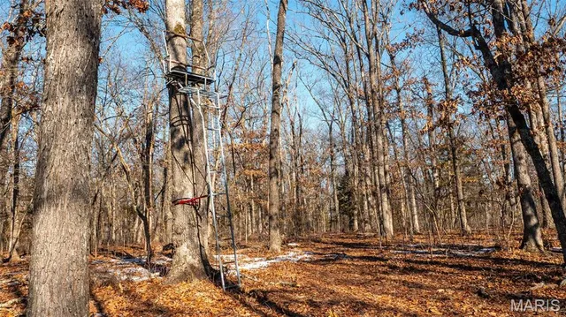 $710,000 | 2103 Vly Crk Drive, Owensville, MO 65066