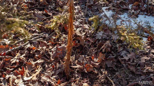 $710,000 | 2103 Vly Crk Drive, Owensville, MO 65066