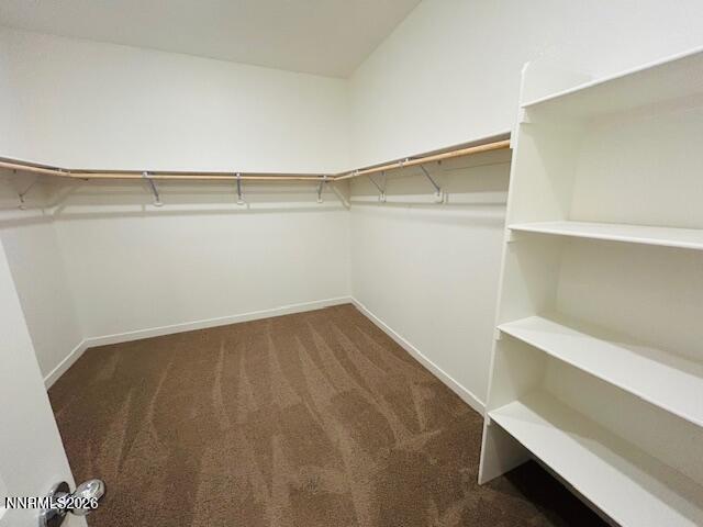1141 Alder Drive Fallon, NV 89406 - Photo 19 of 32 walk in closet