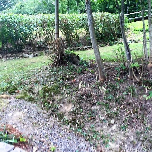 977 Soco Road Maggie Valley, NC 28751 - Photo 5 of 12 a view of outdoor space and garden