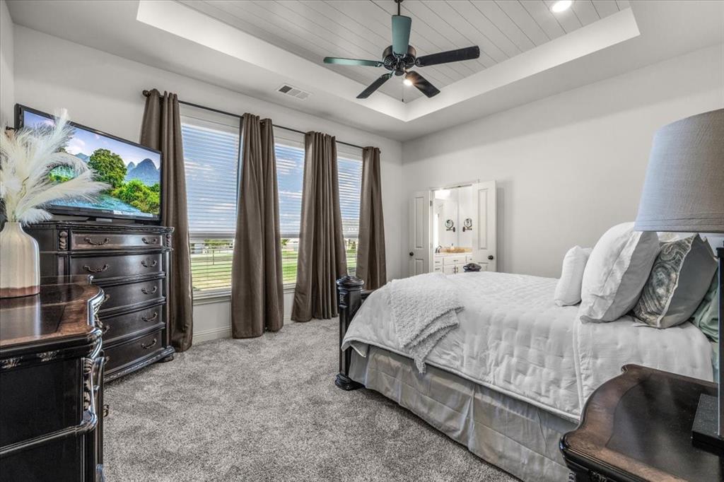 329 Palo Alto Drive Springtown, TX 76082 - Photo 14 of 34 Primary bedroom featuring a tray ceiling with a dark-finished ceiling fan, recessed lighting, natural light