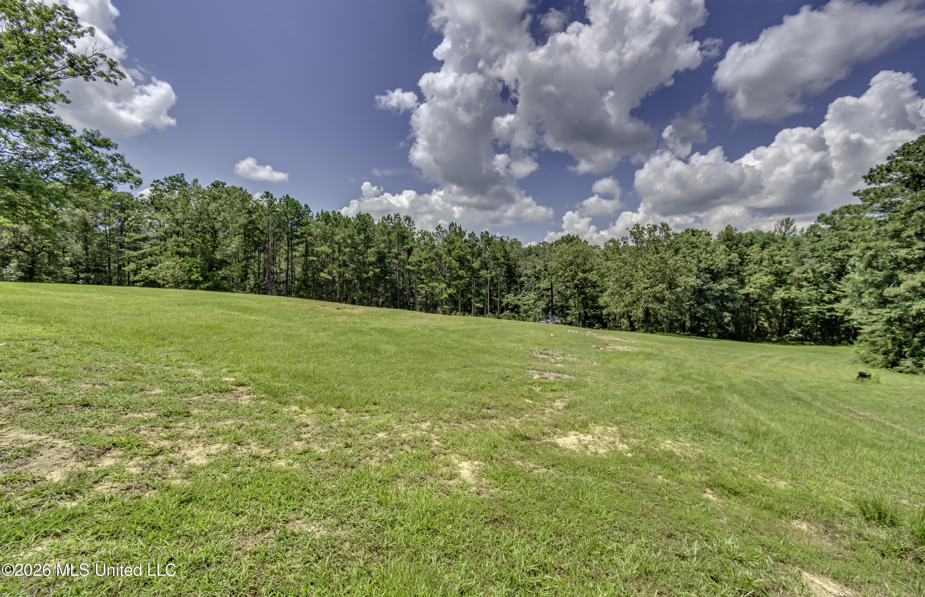 486 Holifield Circle Brandon, MS 39042 - Photo 56 of 93 486 Holifield Cir--2
