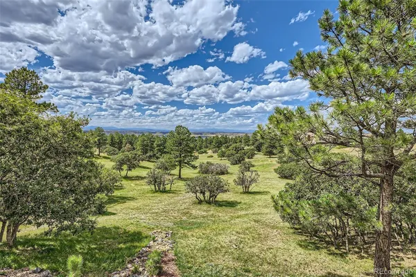 $1,475,000 | 8377 Burning Tree Drive, Franktown, CO 80116