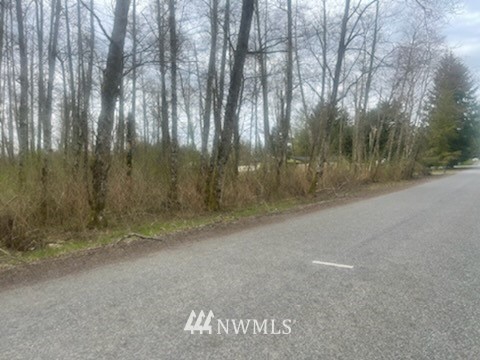 0 Cully Road Sedro-Woolley, WA 98284 - Photo 1 of 5 Gallery Image 1