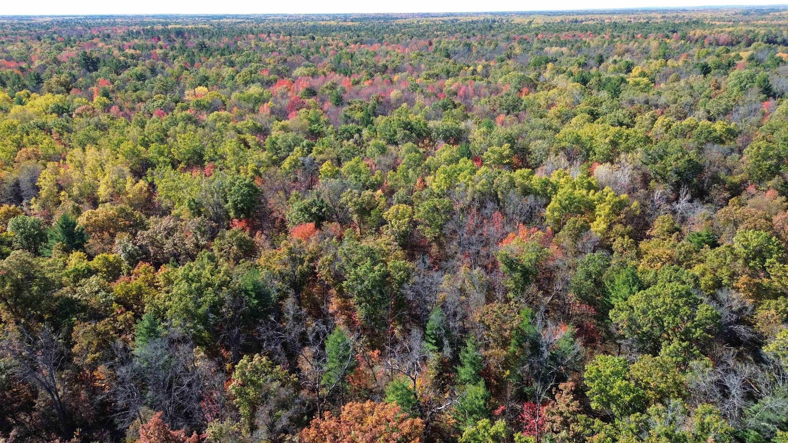 0 Timber Trail Prescott, MI 48756 - Photo 19 of 44