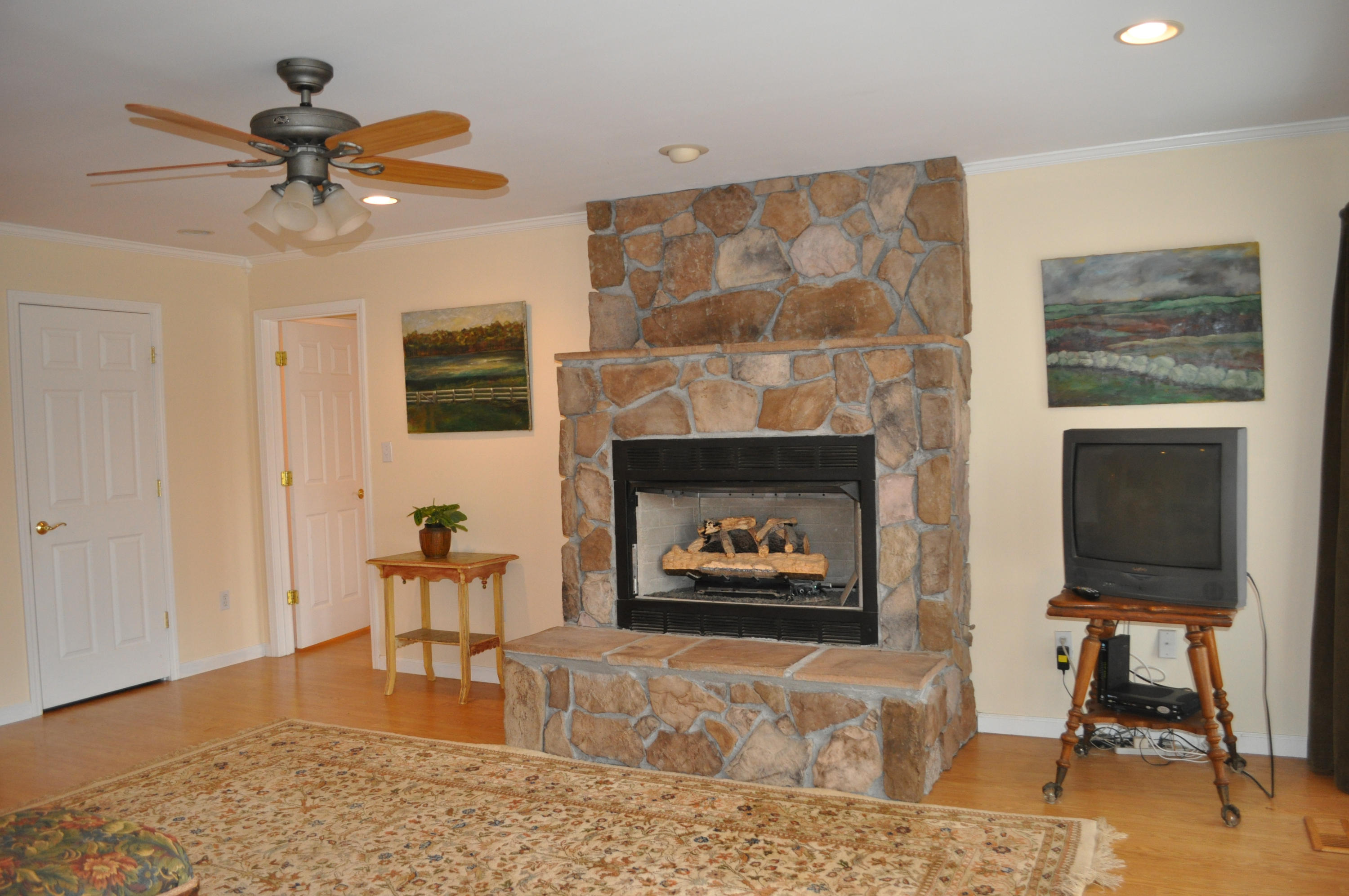9216 Wyrick Road Corryton, TN 37721 - Photo 17 of 39 Gas Fireplace
