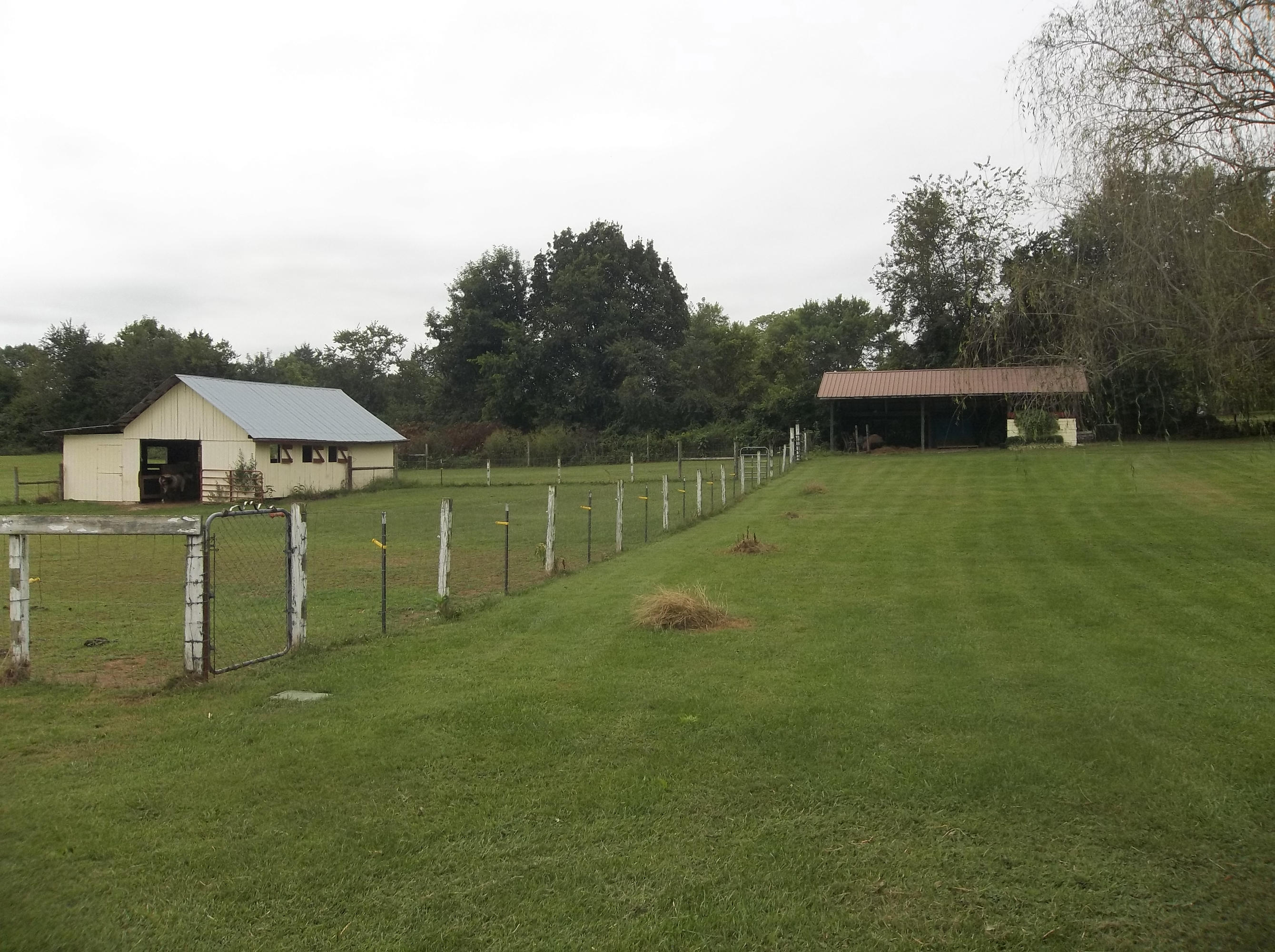 9216 Wyrick Road Corryton, TN 37721 - Photo 34 of 39 2014-09-14 15