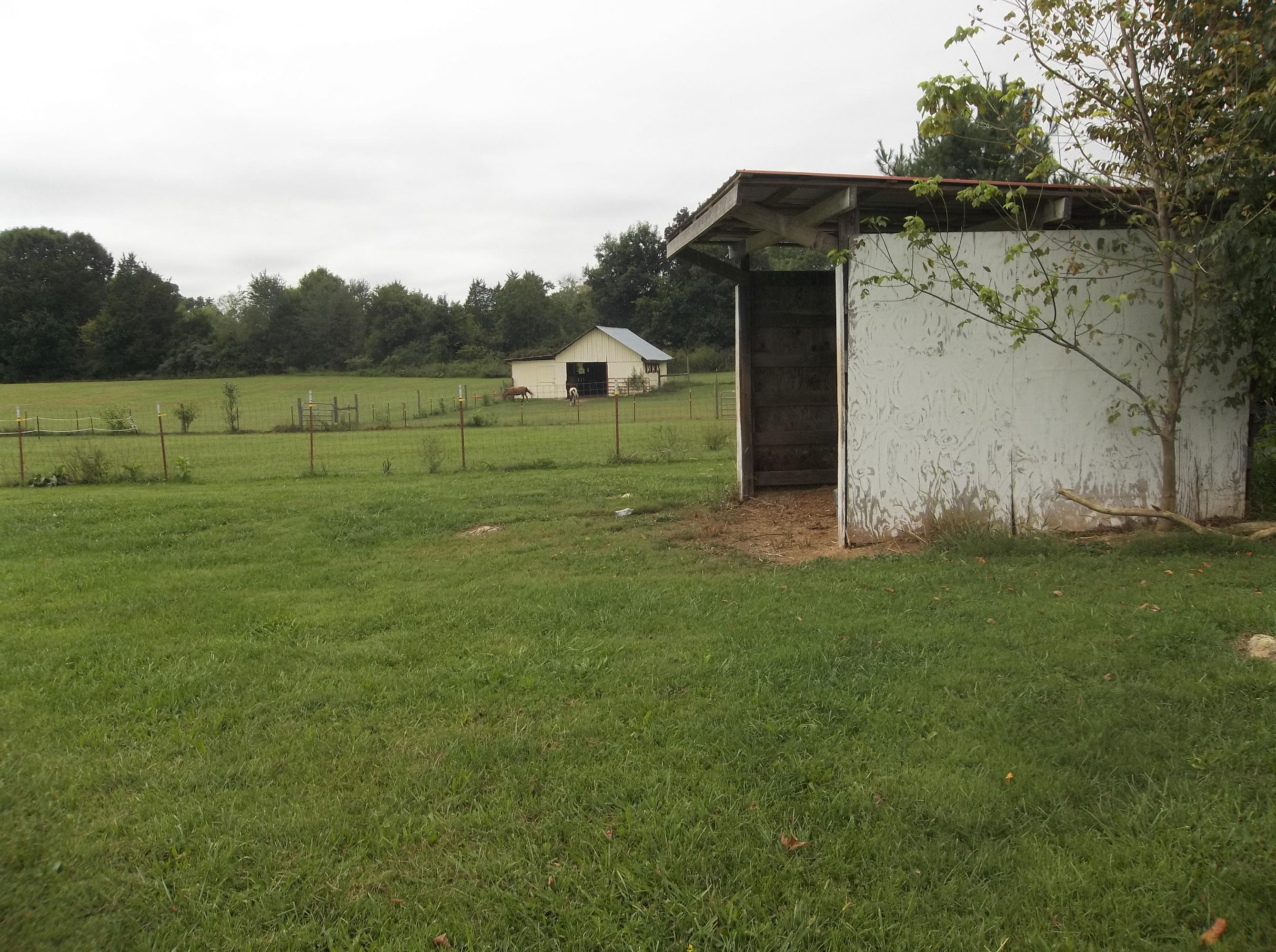 9216 Wyrick Road Corryton, TN 37721 - Photo 35 of 39 2014-09-14 15
