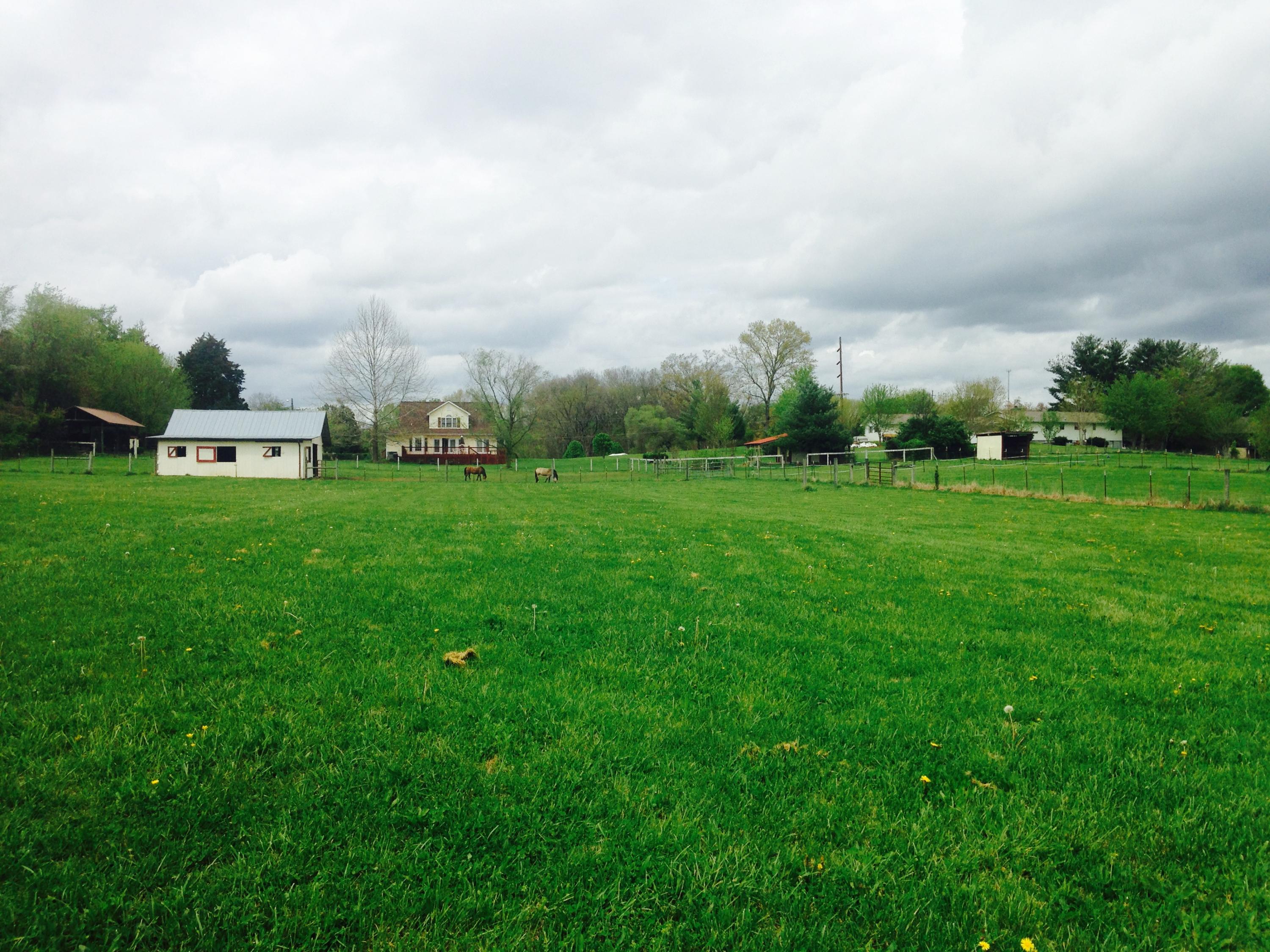 9216 Wyrick Road Corryton, TN 37721 - Photo 37 of 39 Wyrick 5
