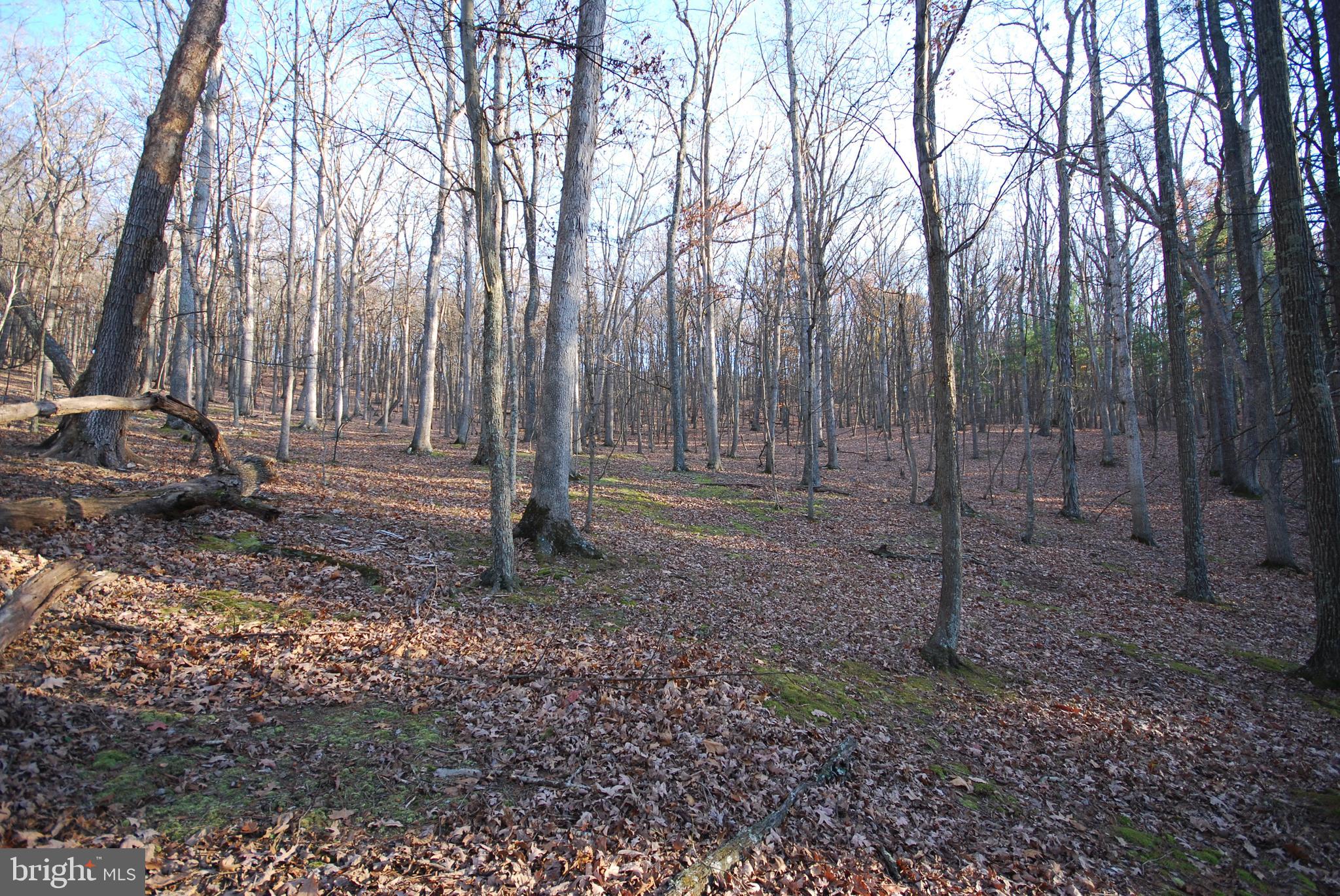 Lot 67 Mill Mountain Road Romney, WV 26757 - Photo 32 of 40