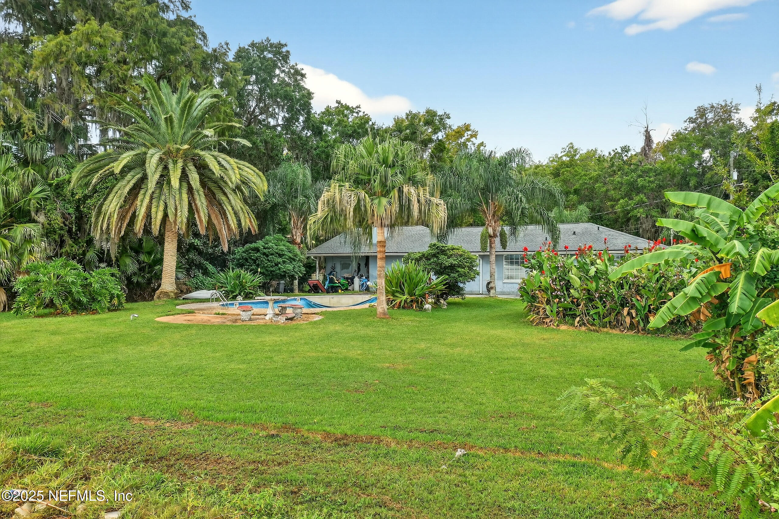 4429 Cedar Road Orange Park, FL 32065 - Photo 3 of 50 a view of a swimming pool with a garden and trees