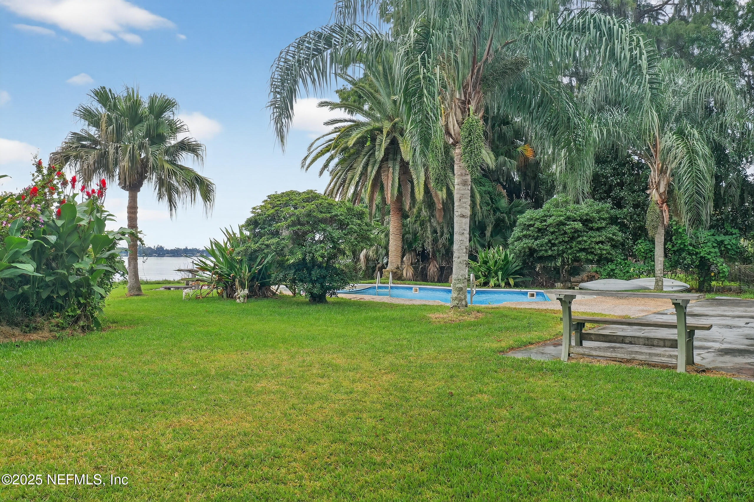 4429 Cedar Road Orange Park, FL 32065 - Photo 4 of 50 a garden with palm trees