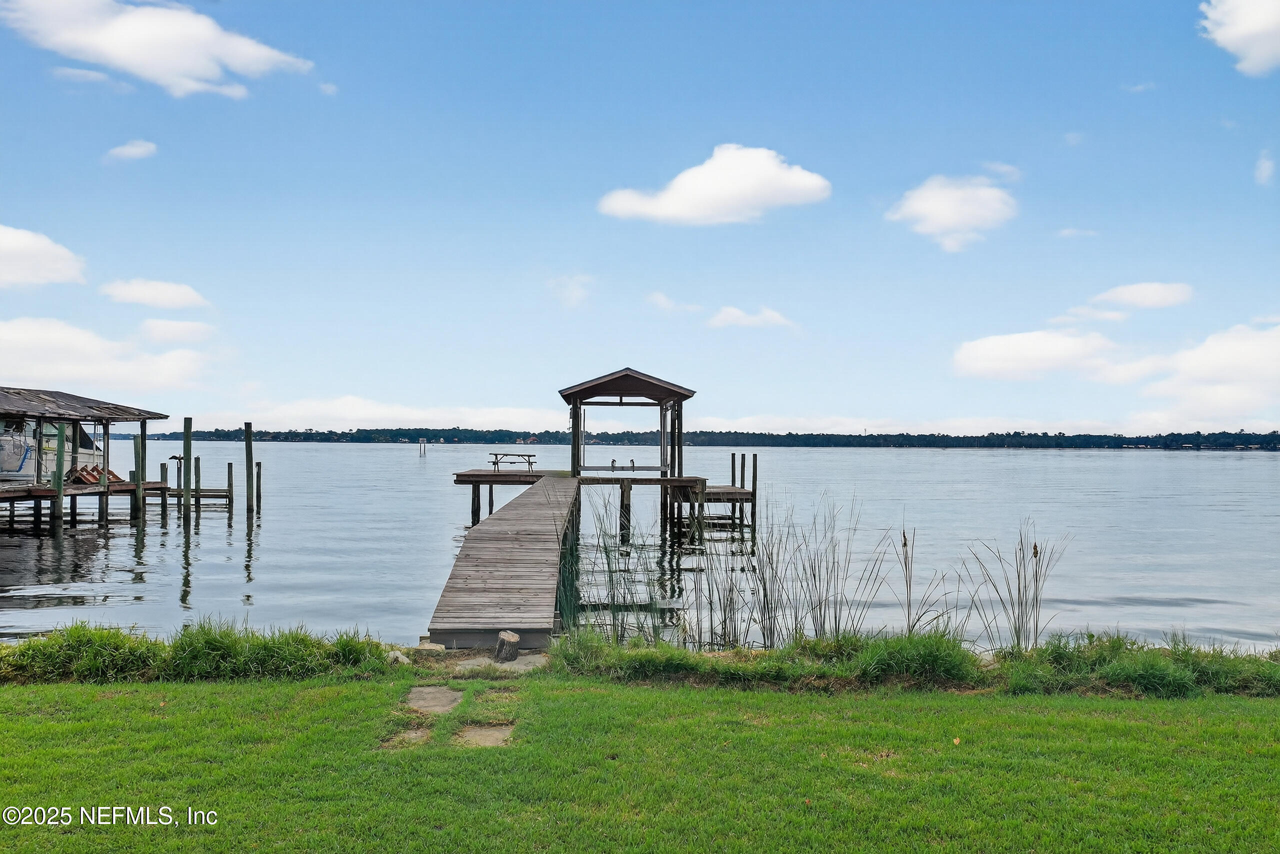4429 Cedar Road Orange Park, FL 32065 - Photo 5 of 50 a view of a garden from a lake