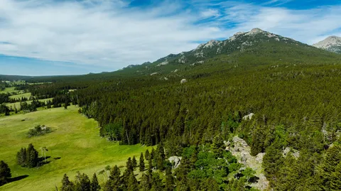 $5,750,000 | Hazelton Road, Buffalo, WY 82834
