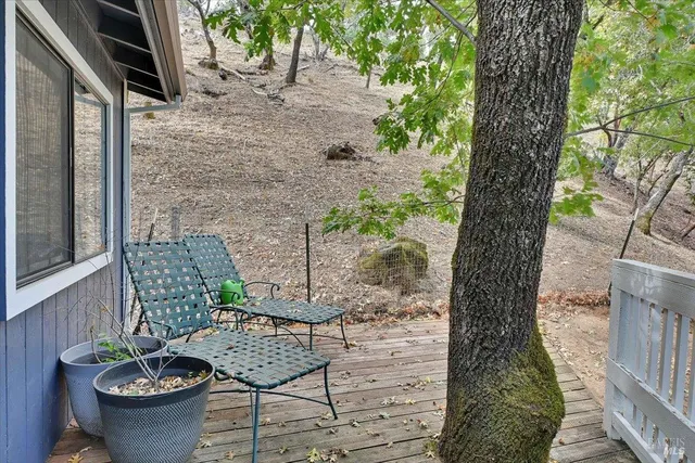 a backyard of a house with lots of trees