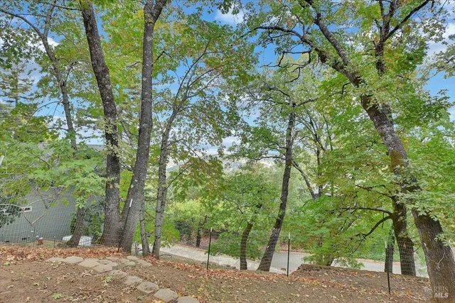 a view of yard with trees