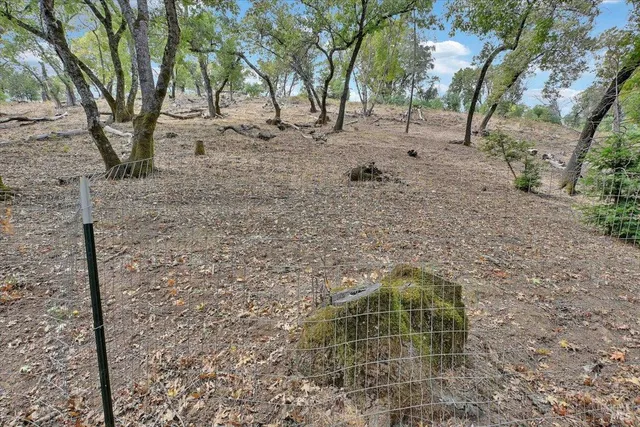 a backyard of a house with lots of trees