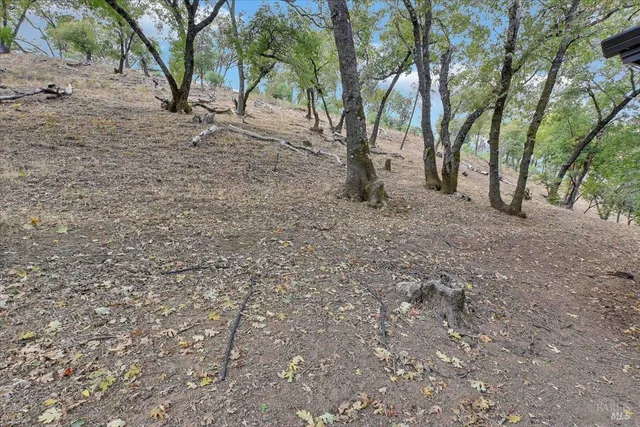 a view of a house with a backyard and tree