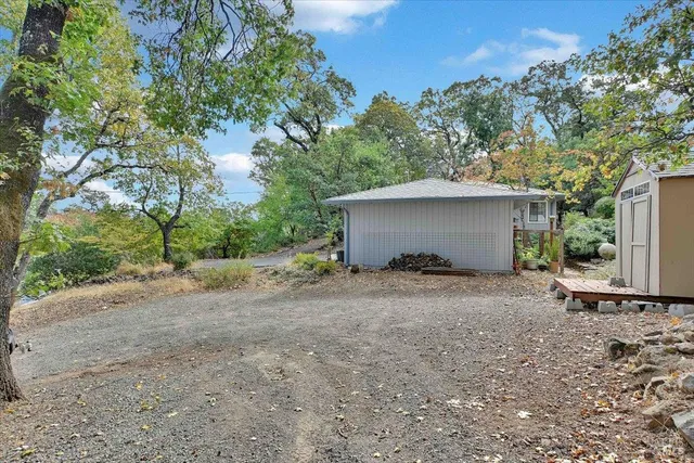 a view of a yard with a tree