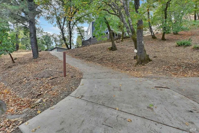 a view of a dirt road with large trees
