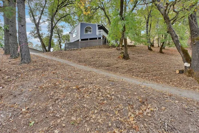 a view of a trees and yard
