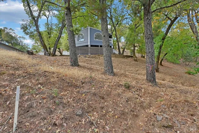 a view of a trees and yard