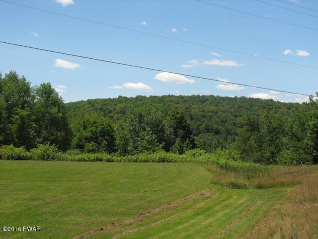 152 Rose Hill Road Lake Como, PA 18437 - Photo 5 of 16