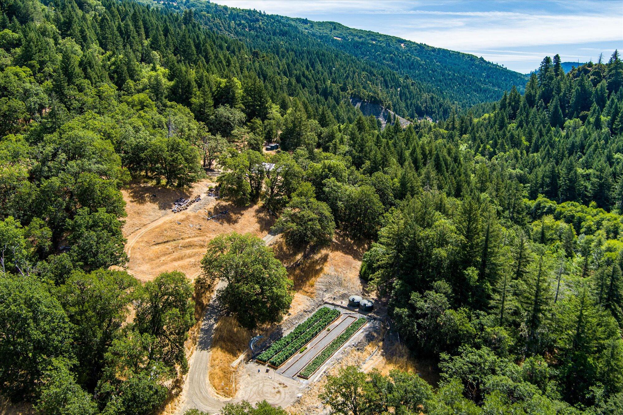 0 West River Road Bridgeville, CA 95526 - Photo 10 of 32