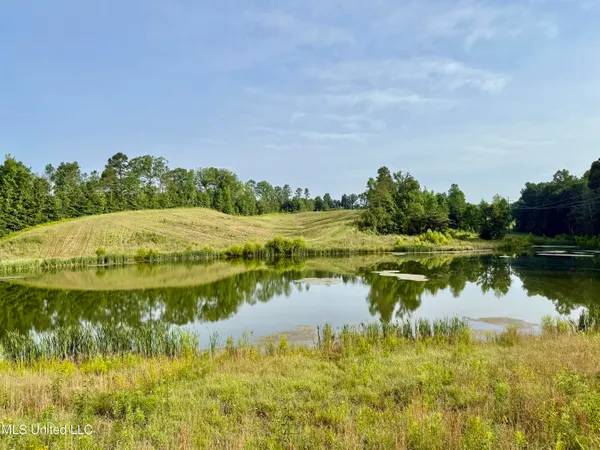 $649,000 | 385 Albert McMillin Road, Louisville, MS 39339