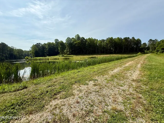 $649,000 | 385 Albert McMillin Road, Louisville, MS 39339