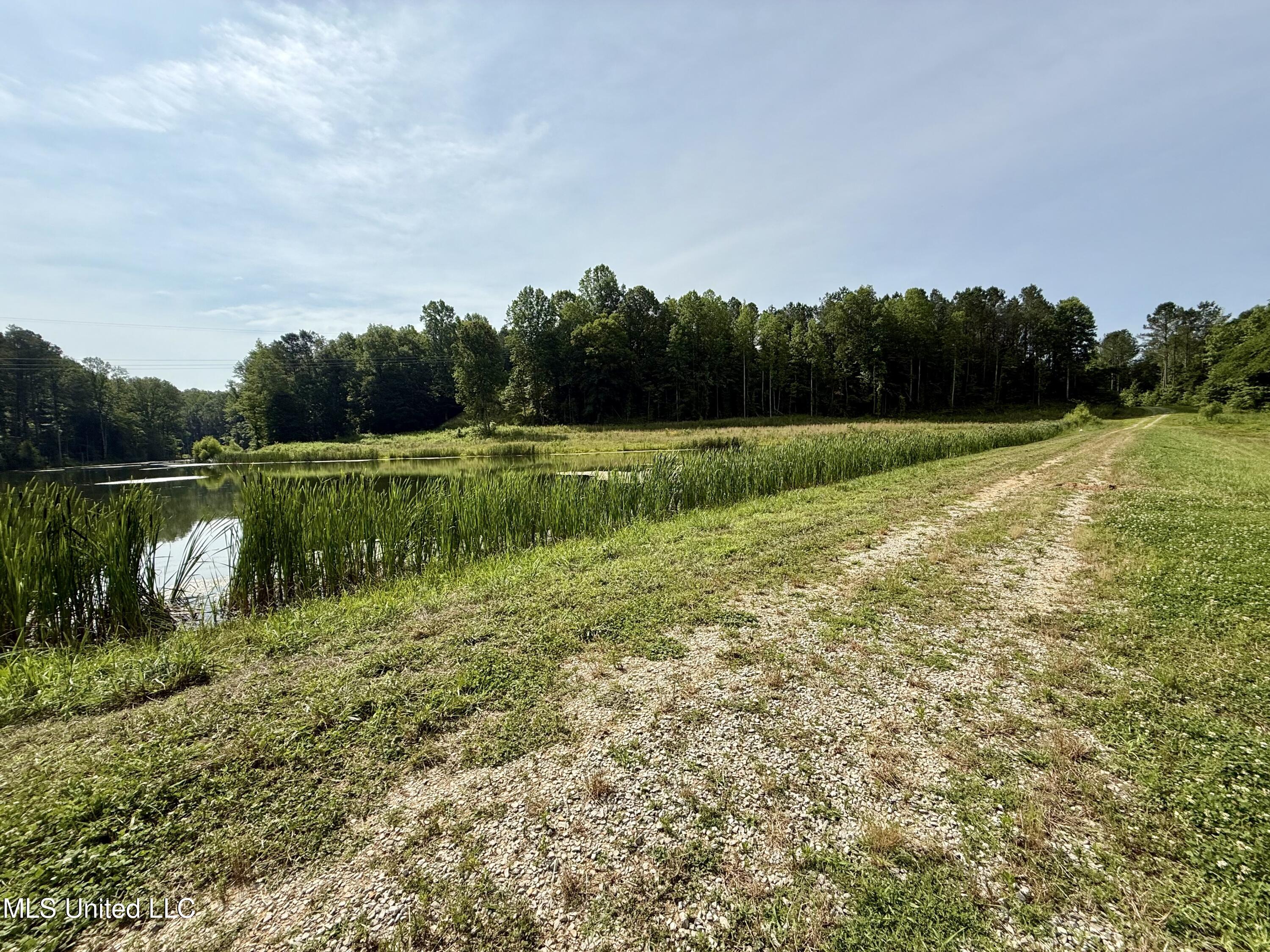 385 Albert McMillin Road Louisville, MS 39339 - Photo 11 of 40 IMG_5752