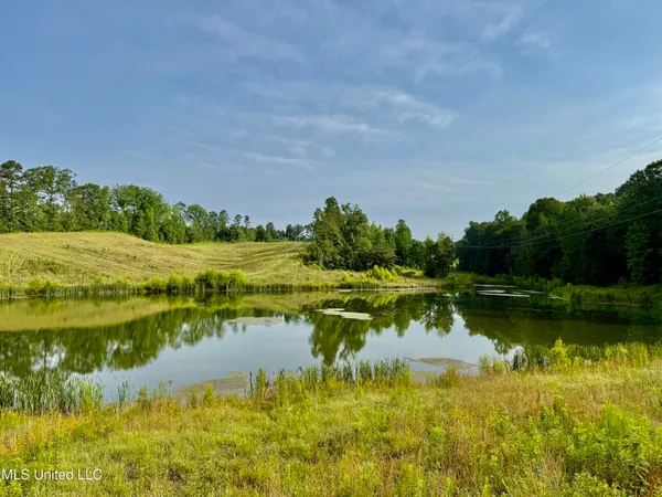 $649,000 | 385 Albert McMillin Road, Louisville, MS 39339