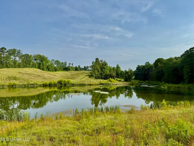 $649,000 | 385 Albert McMillin Road, Louisville, MS 39339