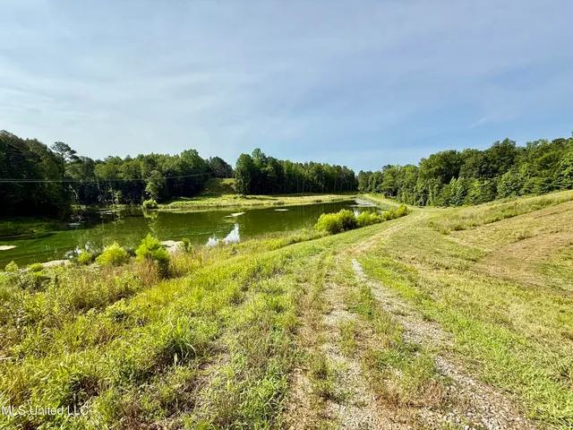 $649,000 | 385 Albert McMillin Road, Louisville, MS 39339