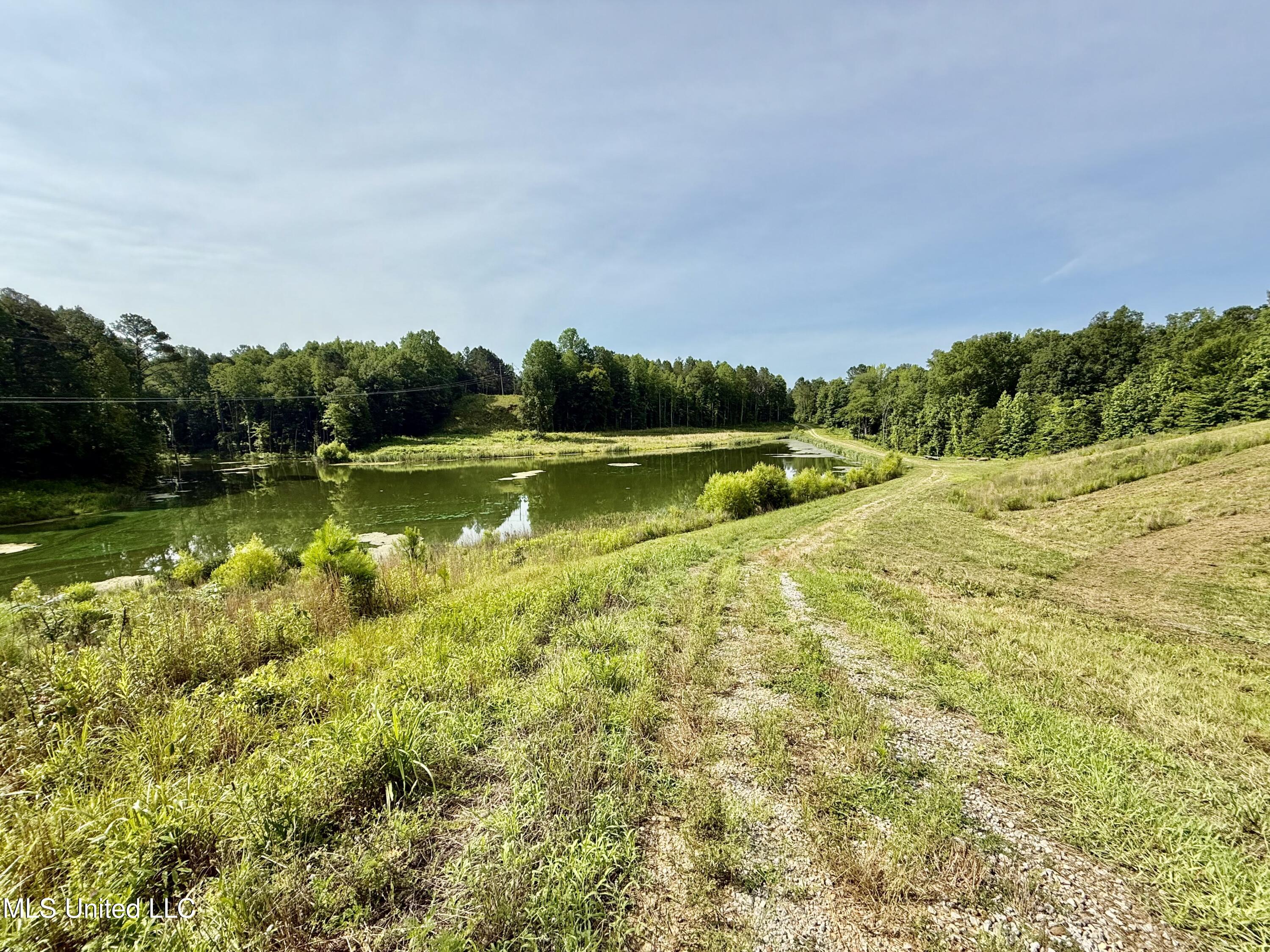 385 Albert McMillin Road Louisville, MS 39339 - Photo 13 of 40 IMG_5716