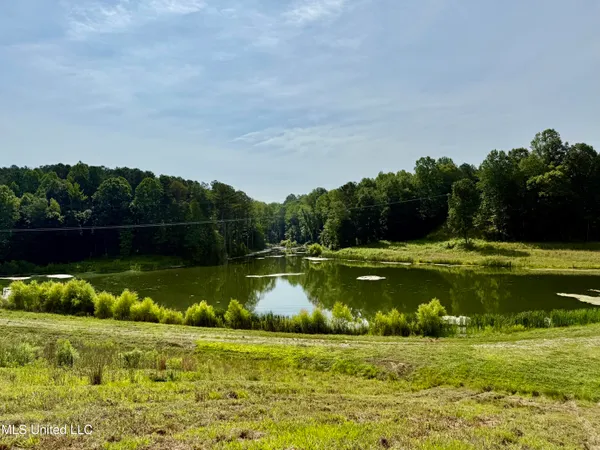 $649,000 | 385 Albert McMillin Road, Louisville, MS 39339