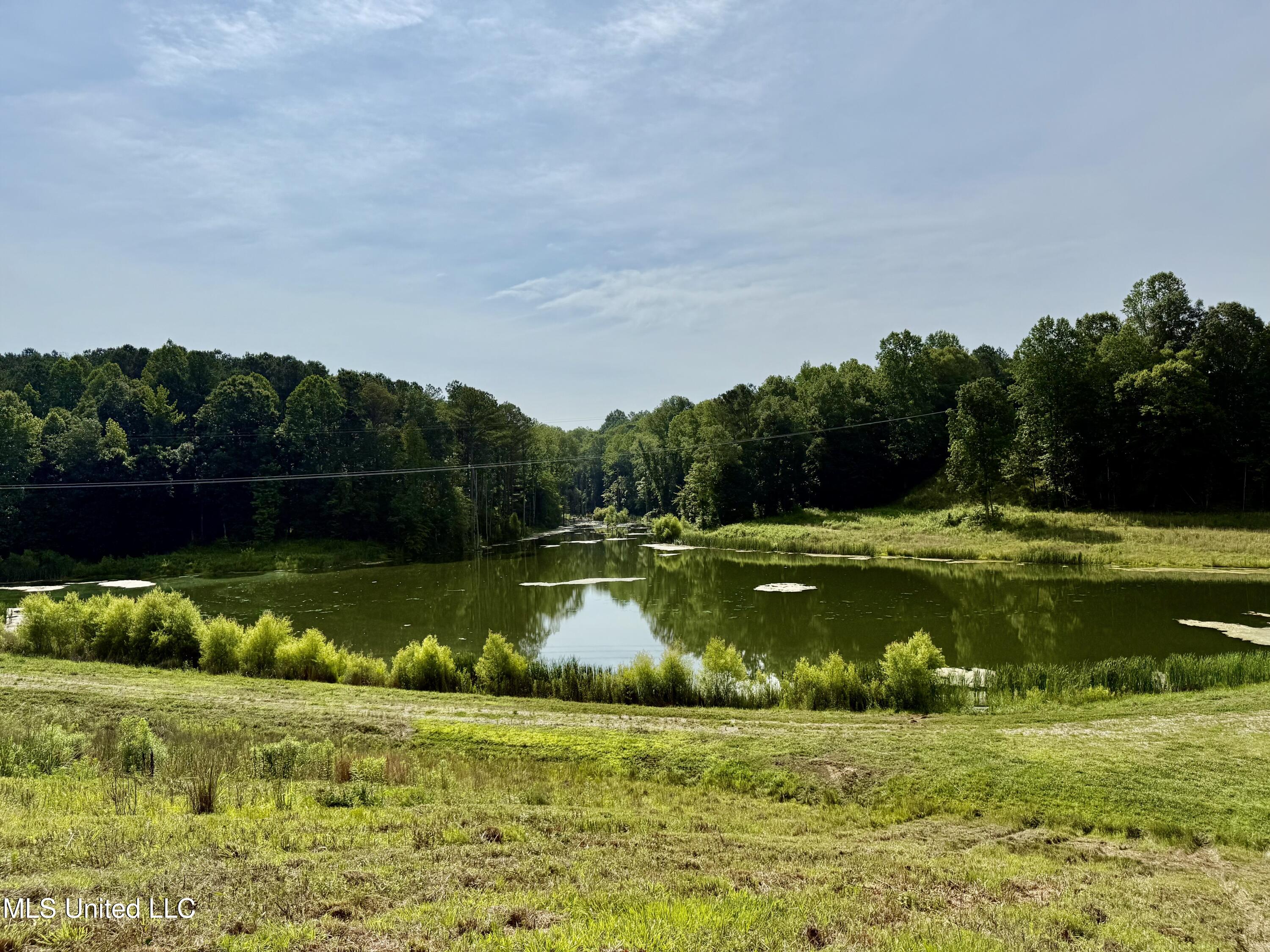 385 Albert McMillin Road Louisville, MS 39339 - Photo 15 of 40 IMG_5737