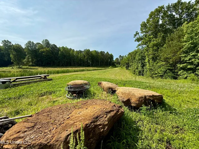 $649,000 | 385 Albert McMillin Road, Louisville, MS 39339