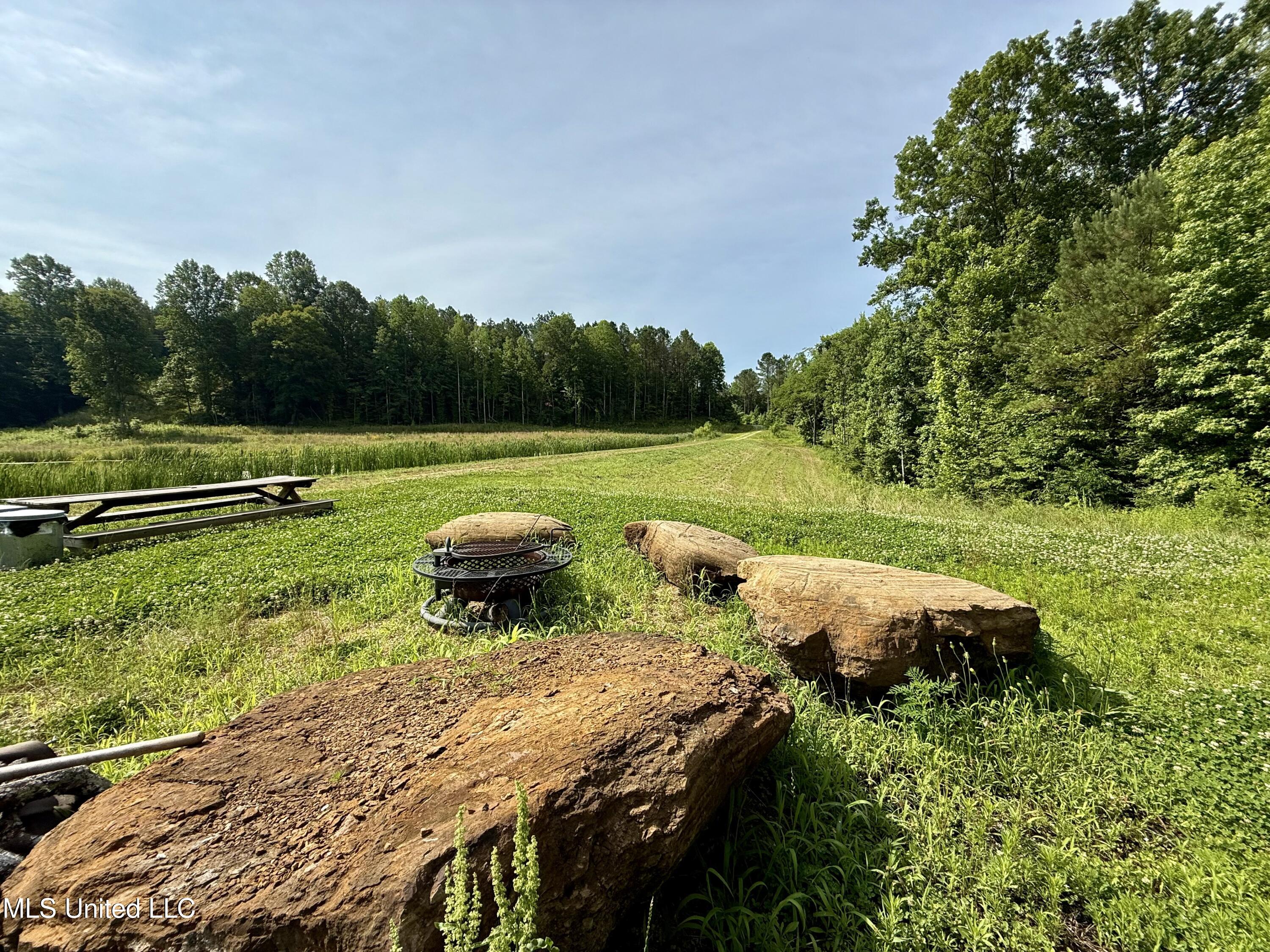 385 Albert McMillin Road Louisville, MS 39339 - Photo 16 of 40 IMG_5754