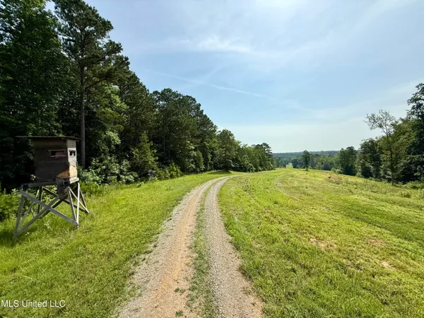 $649,000 | 385 Albert McMillin Road, Louisville, MS 39339