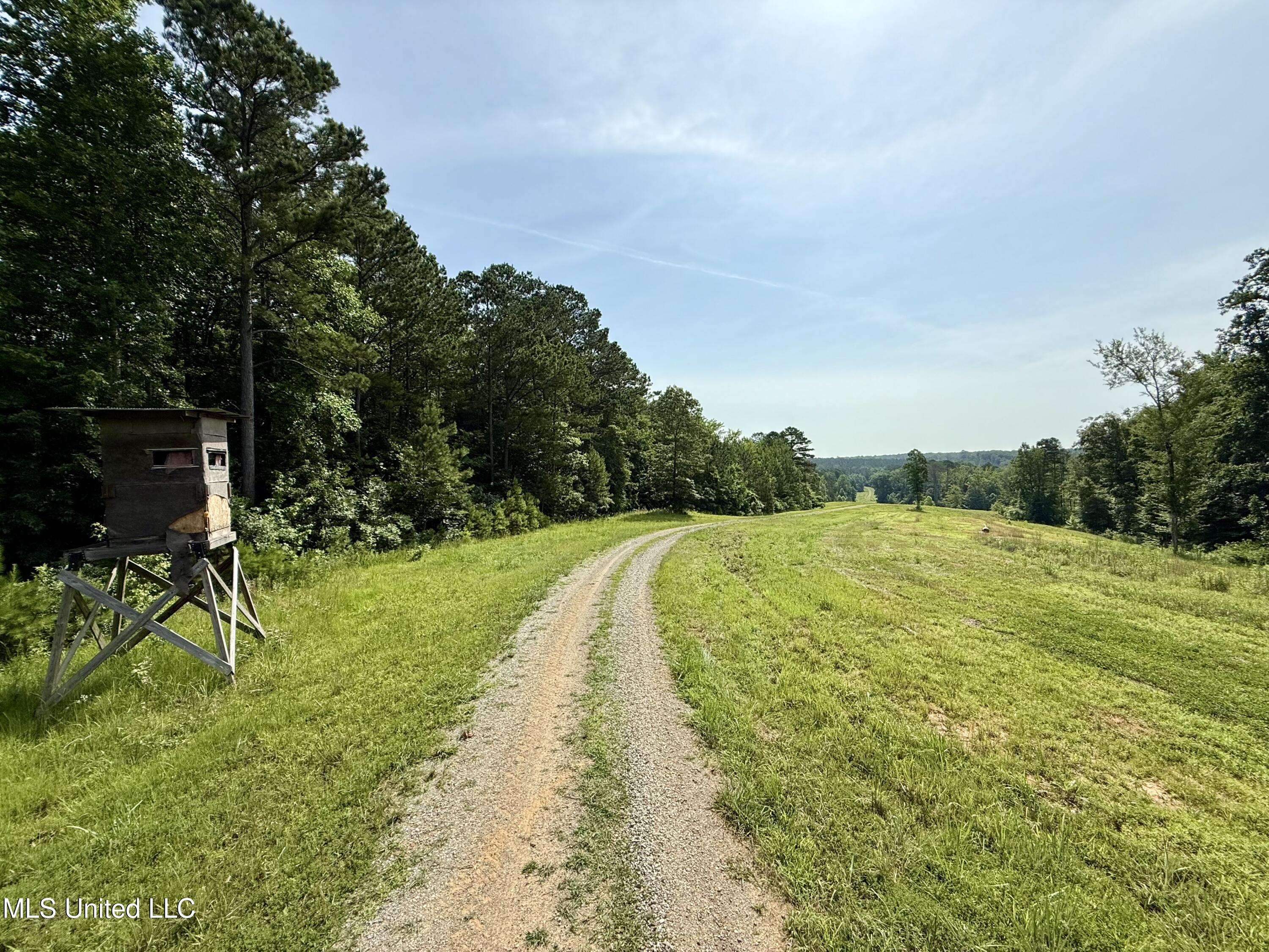 385 Albert McMillin Road Louisville, MS 39339 - Photo 17 of 40 IMG_5788