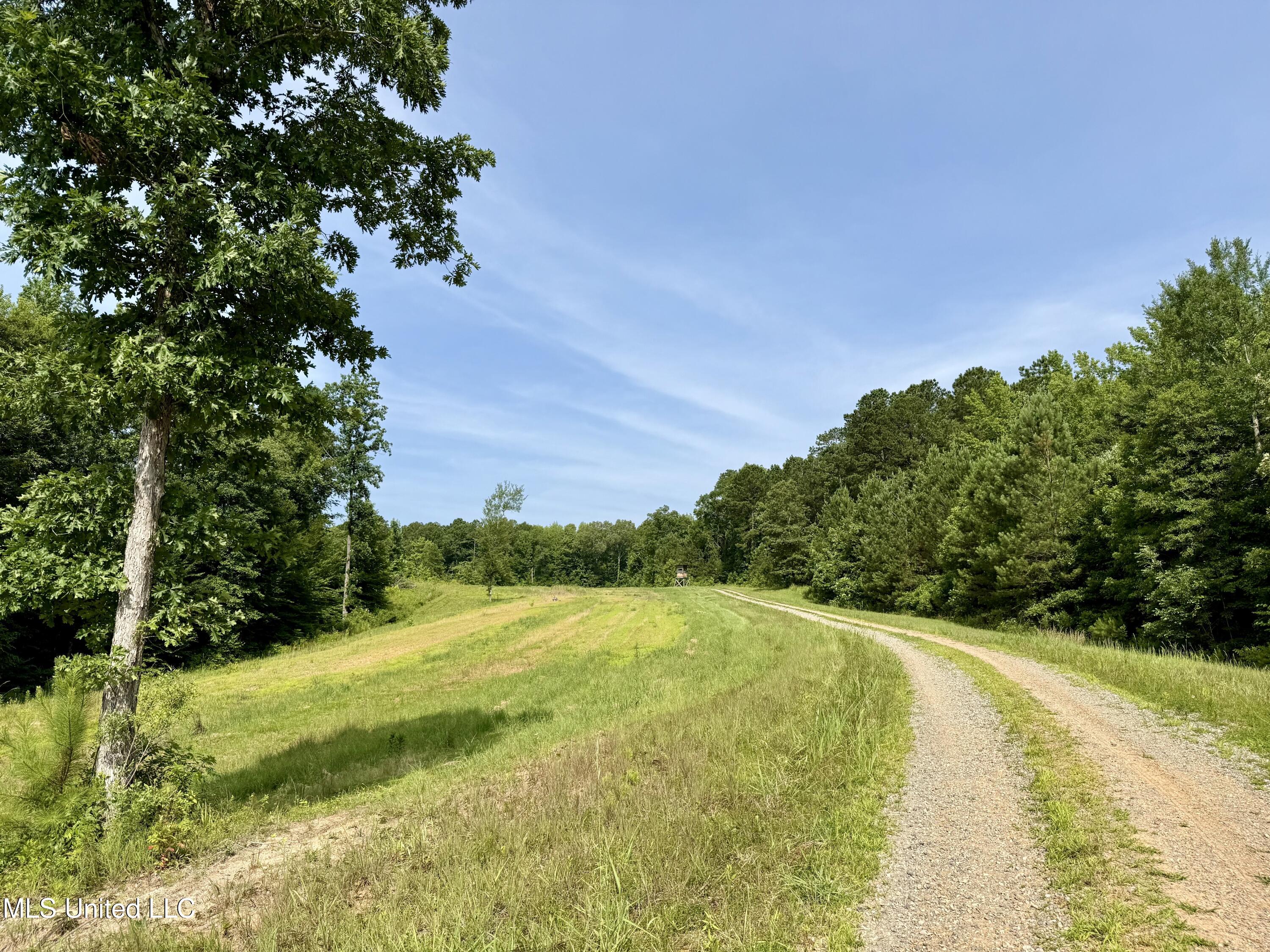 385 Albert McMillin Road Louisville, MS 39339 - Photo 18 of 40 IMG_5777