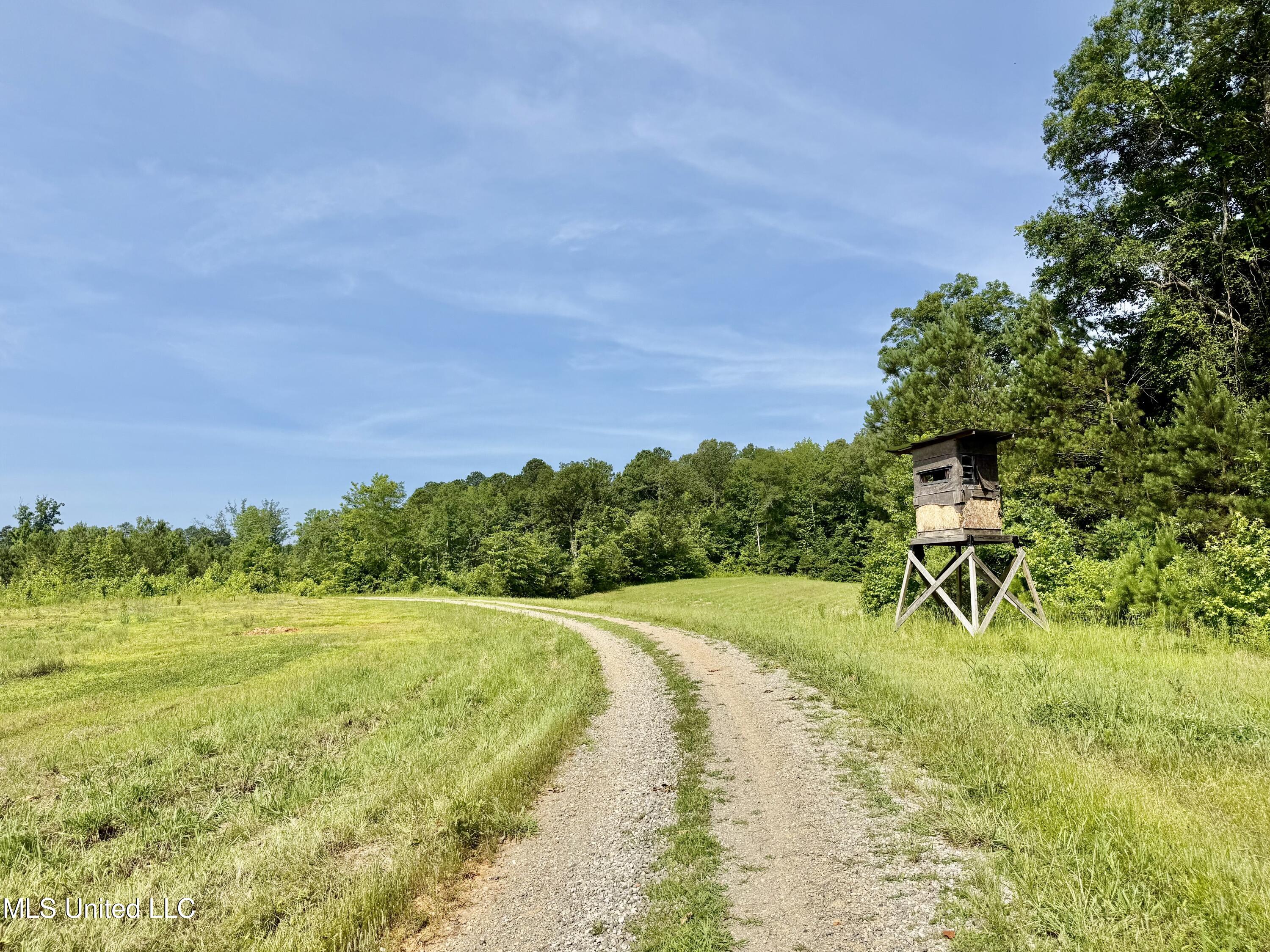 385 Albert McMillin Road Louisville, MS 39339 - Photo 19 of 40 IMG_5785