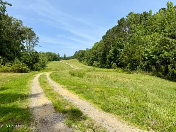 $649,000 | 385 Albert McMillin Road, Louisville, MS 39339