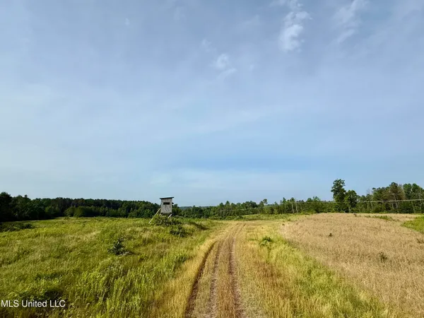 $649,000 | 385 Albert McMillin Road, Louisville, MS 39339