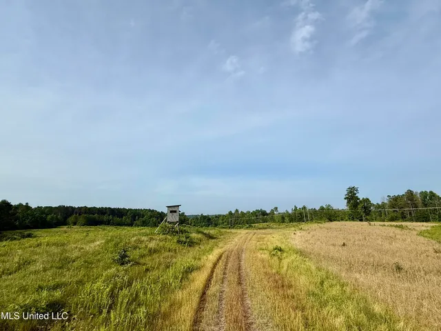 $649,000 | 385 Albert McMillin Road, Louisville, MS 39339